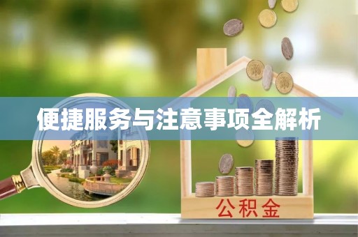 廉江便捷服务与注意事项全解析
