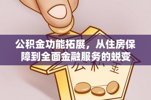 廉江公积金功能拓展，从住房保障到全面金融服务的蜕变