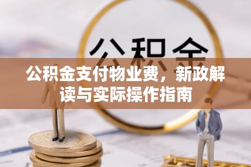 廉江公积金支付物业费，新政解读与实际操作指南