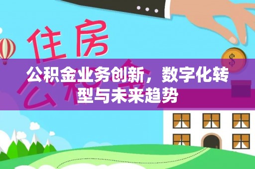 廉江公积金业务创新，数字化转型与未来趋势