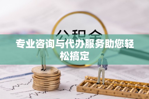廉江专业咨询与代办服务助您轻松搞定