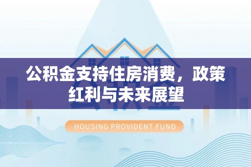 廉江公积金支持住房消费，政策红利与未来展望