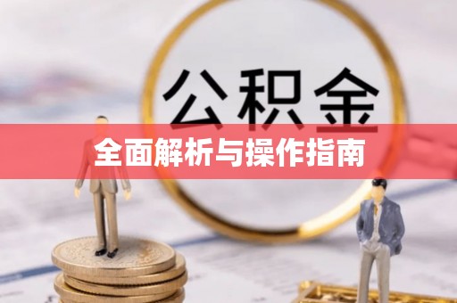 廉江全面解析与操作指南