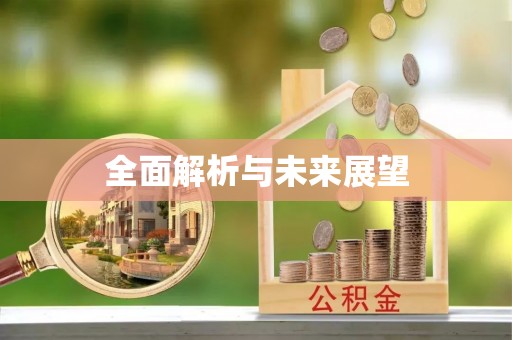 廉江全面解析与未来展望
