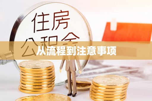 廉江从流程到注意事项