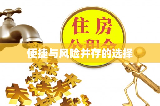 廉江便捷与风险并存的选择