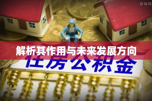 廉江解析其作用与未来发展方向