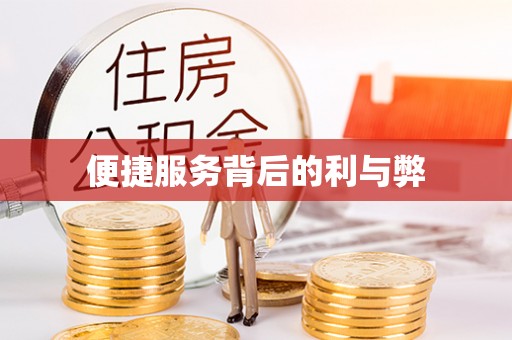 廉江便捷服务背后的利与弊
