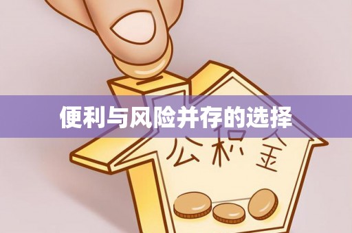 廉江便利与风险并存的选择