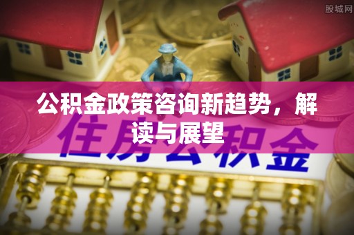 廉江公积金政策咨询新趋势，解读与展望