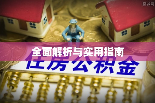 廉江全面解析与实用指南