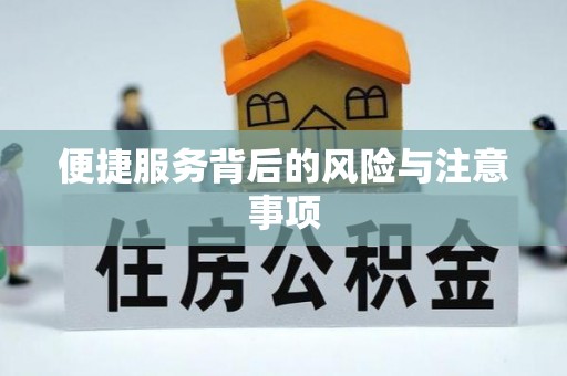 廉江便捷服务背后的风险与注意事项